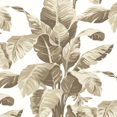 Pacifico Palm Wallpaper by Nathan Turner – Cappuccino