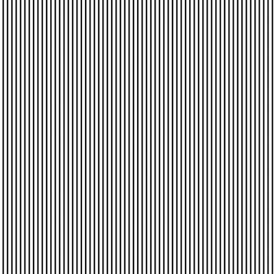Pinstripe Wallpaper by Sugar Paper – Black