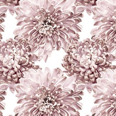 The Mums Wallpaper by Sarah Jessica Parker – Powder