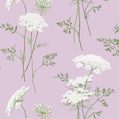 The Queens Lace' Wallpaper by Sarah Jessica Parker – Lavender