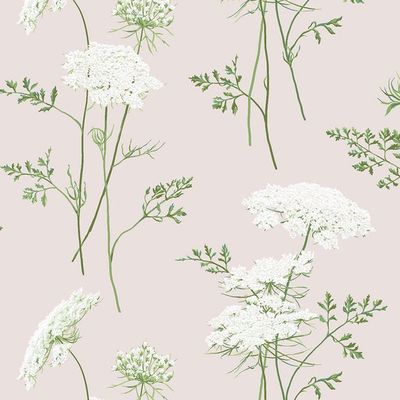 The Queens Lace' Wallpaper by Sarah Jessica Parker – Oyster