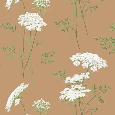 The Queens Lace' Wallpaper by Sarah Jessica Parker – Pecan