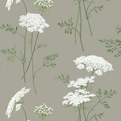 The Queens Lace' Wallpaper by Sarah Jessica Parker – Pepper