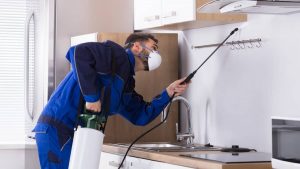 How Often Should Pest Control Be Done In An Apartment? – Apartment ABC