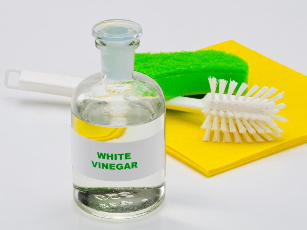 white vinegar and brush