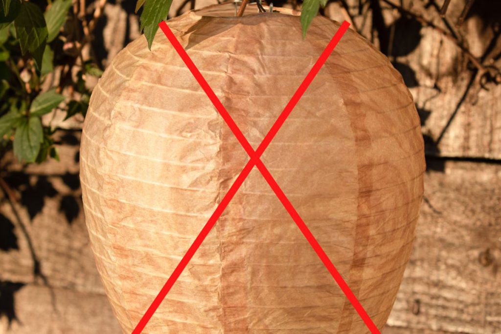 Avoid fake paper wasp nest