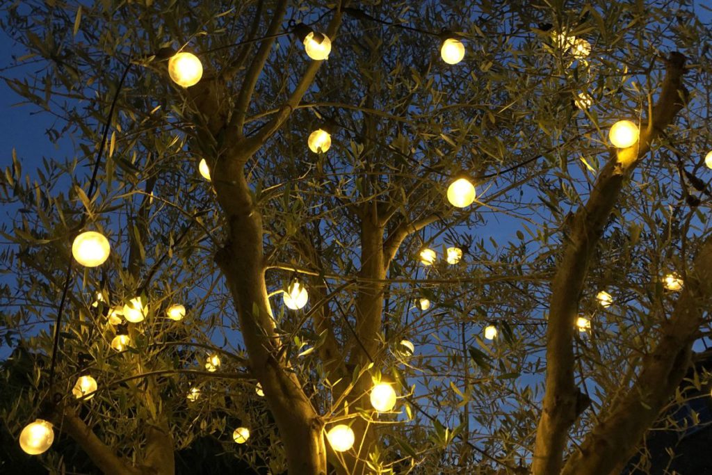 Yellow lamps on a tree