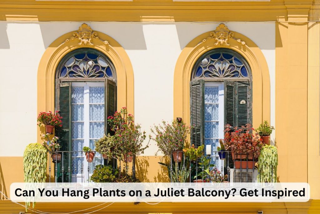 Can You Hang Plants on a Juliet Balcony?